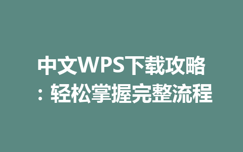 中文WPS下载攻略：轻松掌握完整流程 一