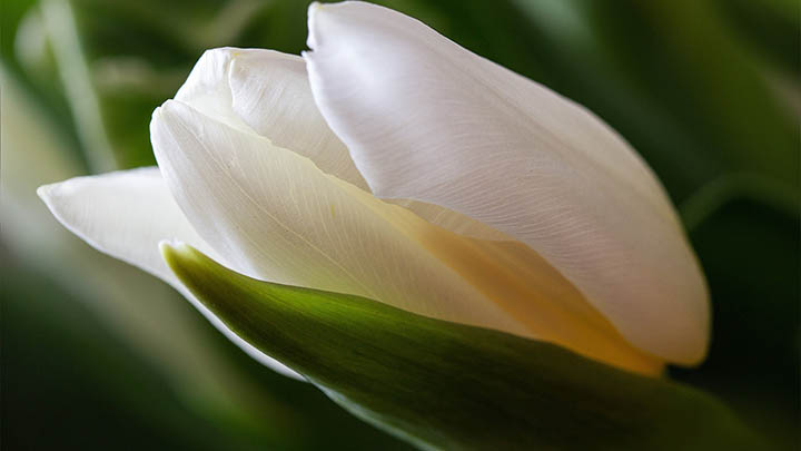 api img 6966f980db873