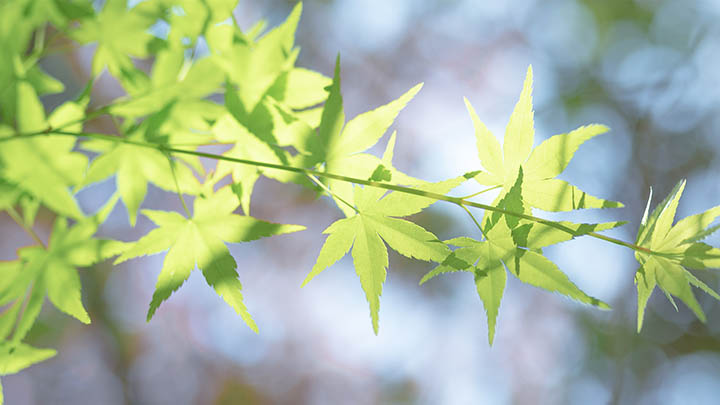 api img 6967b84b08694