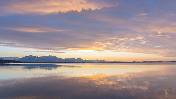 api img 696815613d49b