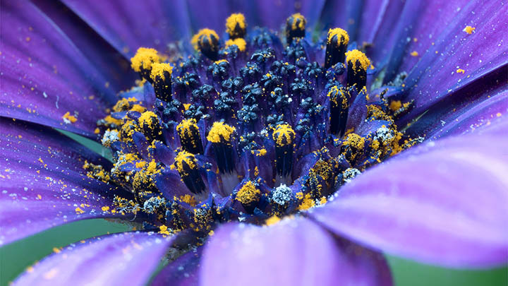 api img 696c7cc486cf7