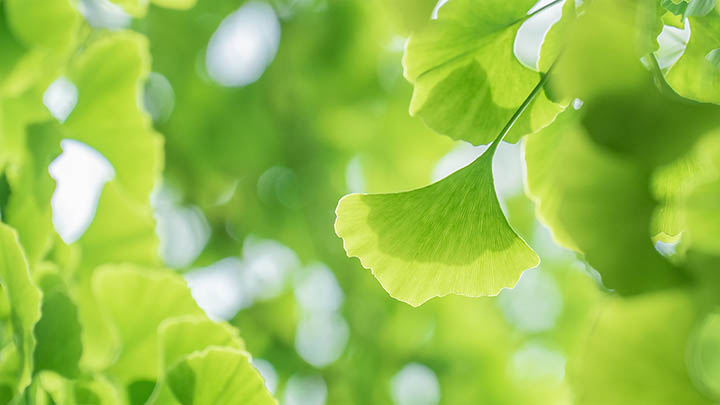 WPS2007怎么下载？下载安装全攻略 二