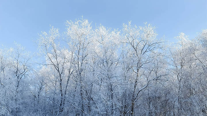 轻松三招教你找到刚下载的WPS安装包Win/Mac通用 二