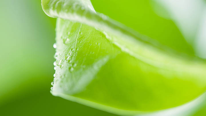 如何在微软下载WPS？完整指南+快速安装方法2025年 二