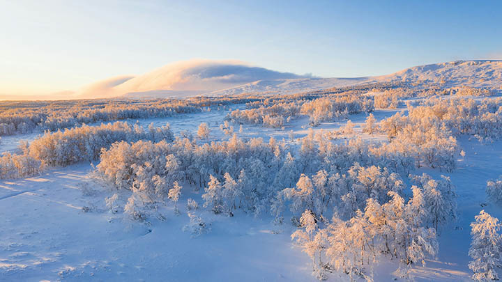 WPS单元格下载详解：轻松掌握工具应用技巧2025年最新指南 二