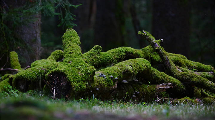 如何下载?WPS超易攻略详解PS获取办法 如何下载?WPS超易攻略详解PS获取办法 二