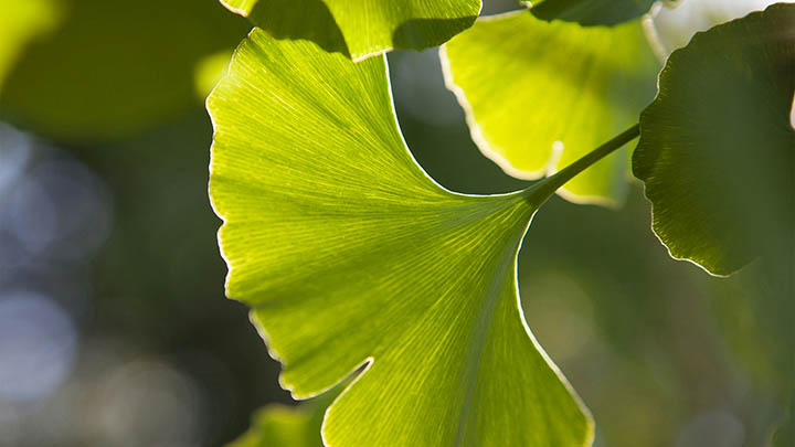 2025年WPS文件打开小技巧：快速下载与使用详解Win/Mac适用 二