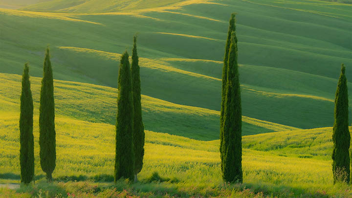 WPS兼容版下载指南+最新获取方法 WPS兼容版下载指南+最新获取方法 二