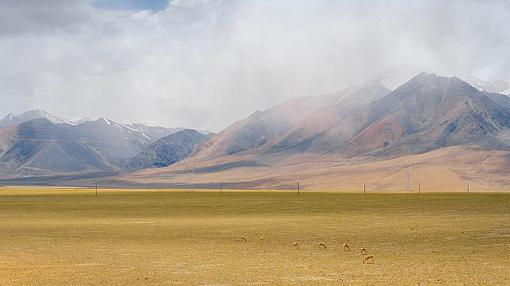 WPS软件下载:官方极速安装全攻略 WPS软件下载:官方极速安装全攻略 二