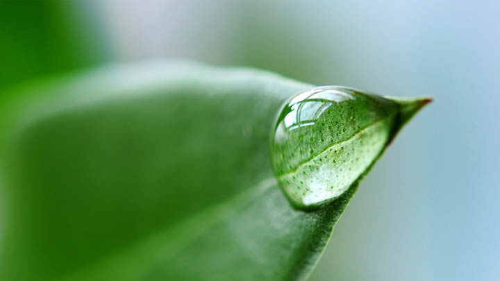 WPS下载：如何快速删除？3个实用技巧教你掌握 二