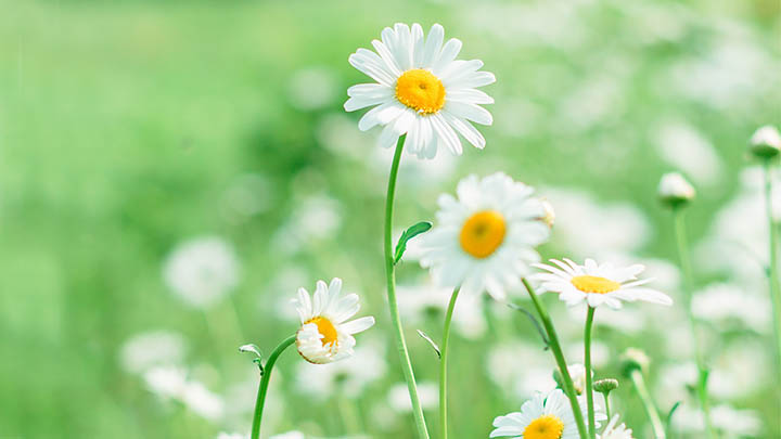 WPS下载TXT秘籍：轻松获取TXT格式完全指南 二