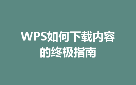 WPS如何下载内容的终极指南 一