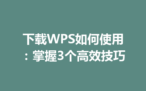 下载WPS如何使用：掌握3个高效技巧 一