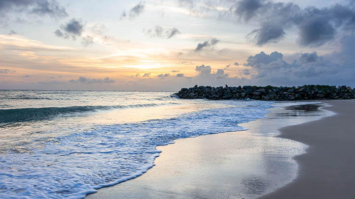 免费获取WPS照片完整版教程适用Windows/Mac 免费获取WPS照片完整版教程适用Windows/Mac 二