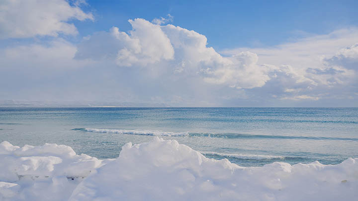 WPS如何下载韩文字体？详细教程+官方安全入口 二