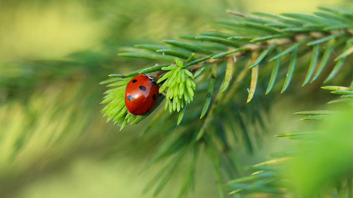 WPS如何下载中文版?简体中文完整教程! WPS如何下载中文版?简体中文完整教程! 二