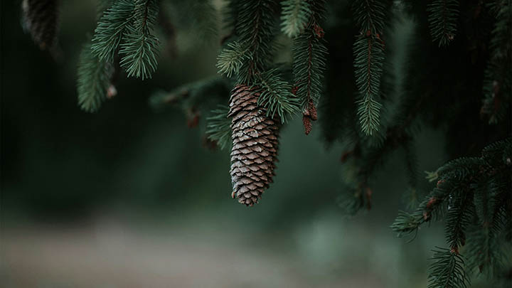 WPS Excel下载指南+最新官方版本获取途径 二