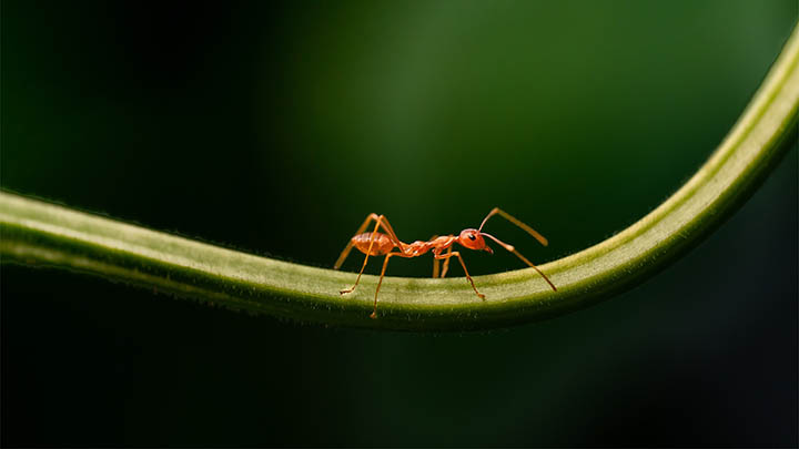 如何快速下载WPS演示?离线链接提取+安装技巧一览 如何快速下载WPS演示?离线链接提取+安装技巧一览 二