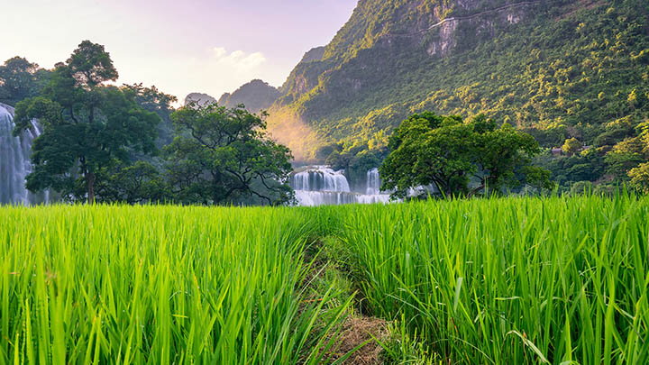 如何下载WPS中文？最新完整攻略2025年 二