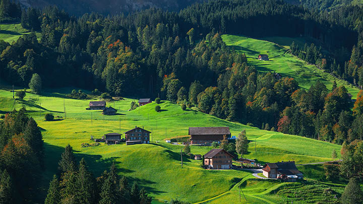 下载WPS如何使用：掌握3个高效技巧 二