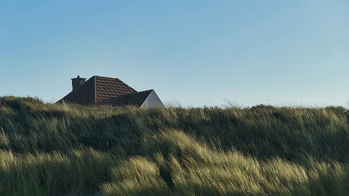 免费下载WPS：官方渠道详细指南 二