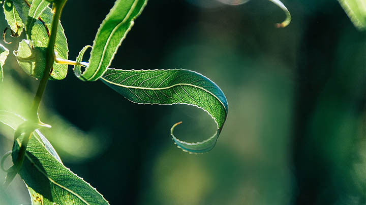 WPS如何下载控件？详细教程一键搞定 二