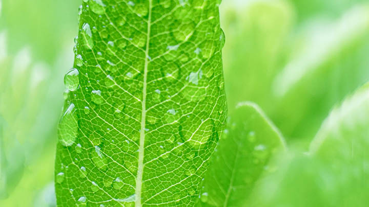 iPad如何下载WPS?详细步骤攻略 iPad如何下载WPS?详细步骤攻略 二