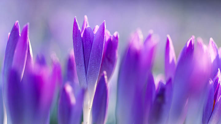 网页无法下载WPS?教你通过官方站点+第三方镜像轻松获取技能 网页无法下载WPS?教你通过官方站点+第三方镜像轻松获取技能 二